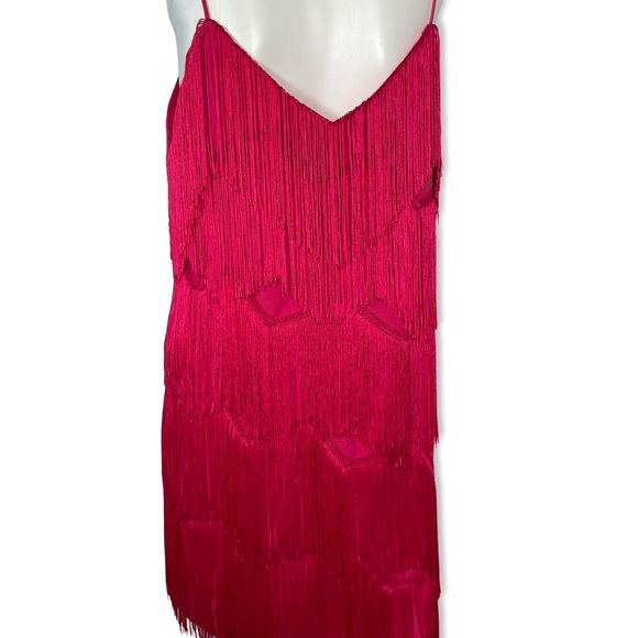 Finders Keepers Hot Pink Fringe Tassel Mini Dress - Picture 7 of 10